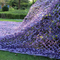 Outdoor Camouflage Disguise Net Tactical Use in The Purple Camo Net