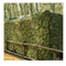 Outdoor Woodland Camouflage Net for Garden Decorating