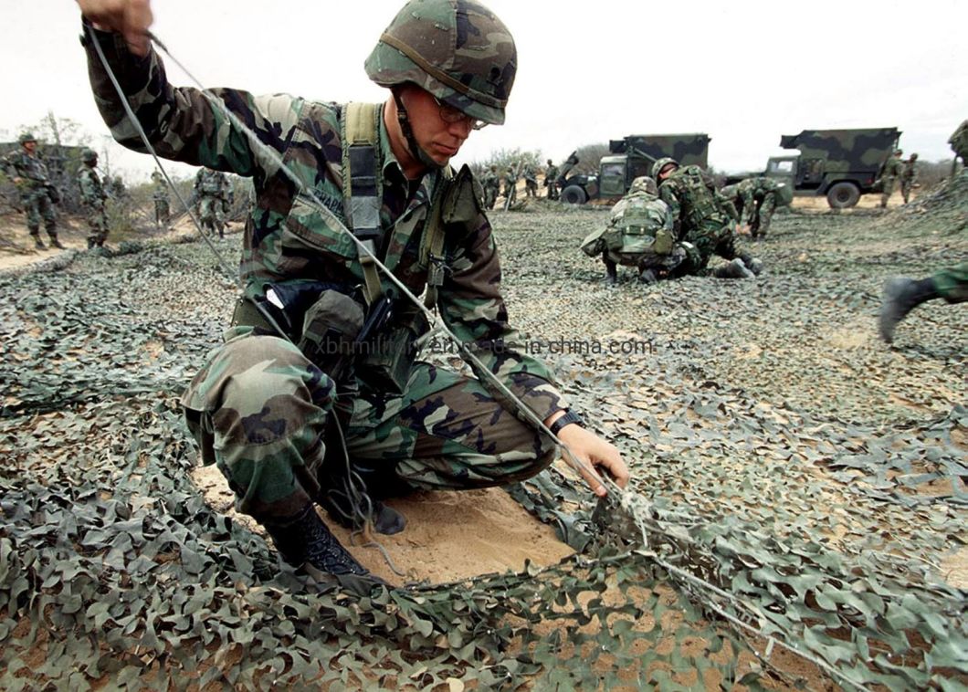 Blue Camouflage Net for Theme Park