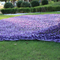 Outdoor Waterproof Purple Camouflage Net