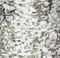 Digital Snow Camo Netting