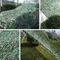 210d Green Camo Net Military Camouflage Net for Hunting and Garden Decoration