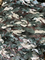 Outdoor Water Proof Camouflage Net with Camo Print