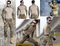 Combat Shirt and Tactical Pants Suit Bdu Military Style Uniform Airsoft Accessories Hunting Hiking