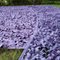 Sun Shade Camouflage Nets Various Colors High-Quality Purple Camo Nets for Wedding and Party