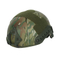 Government Supplier Custom Nij Iiia Aramid PE Green Fast Helmet